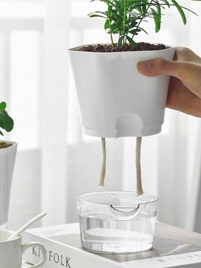 Self-Watering Hydroponic Flower Pot For Indoor - Merch Gone Viral
