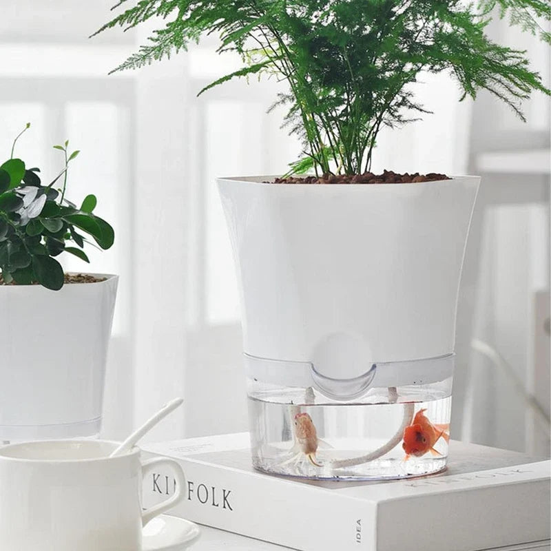 White self-watering planter holding a green plant, with a clear water reservoir below containing small fish.