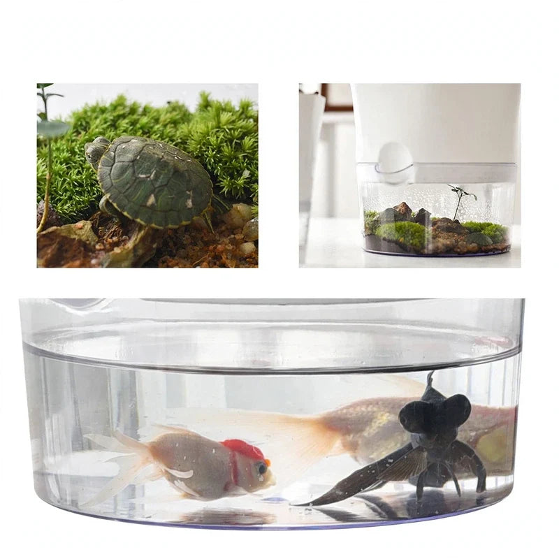 Collage showing a small turtle on moss and a hydroponic planter holding fish in its clear water base.