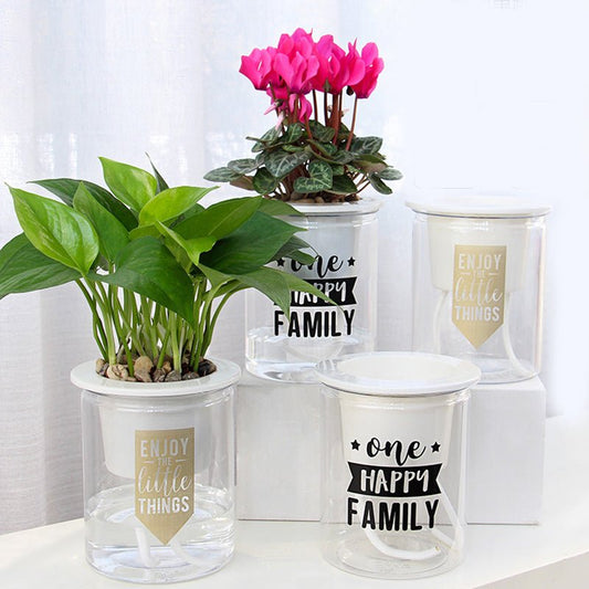 Self Watering Mini Round Plastic Succulent Pot for Office Desk - Merch Gone Viral