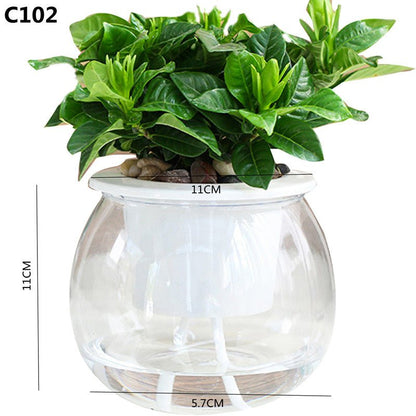 Self Watering Mini Round Plastic Succulent Pot for Office Desk - Merch Gone Viral