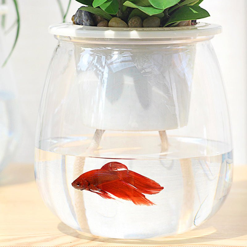 Self Watering Mini Round Plastic Succulent Pot for Office Desk - Merch Gone Viral