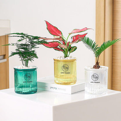 Self Watering Mini Round Plastic Succulent Pot for Office Desk - Merch Gone Viral