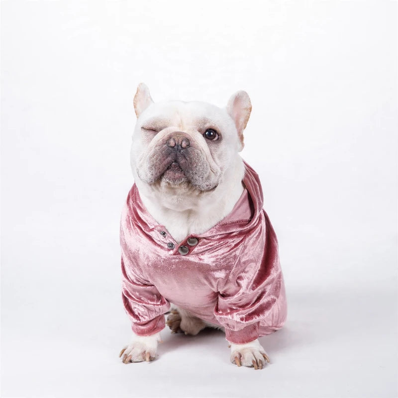Winking white bulldog wearing a pink velvet dog hoodie.