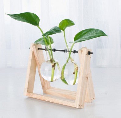 Transparent Wood Frame Glass Planter For Hydroponic Plants - Merch Gone Viral