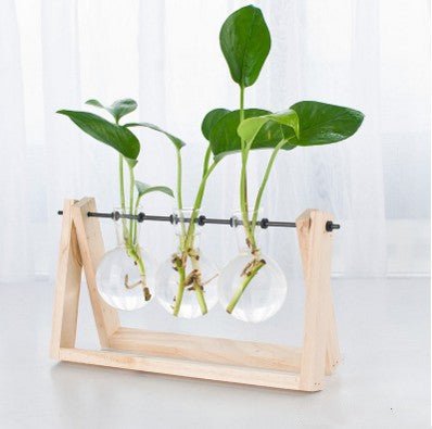 Transparent Wood Frame Glass Planter For Hydroponic Plants - Merch Gone Viral