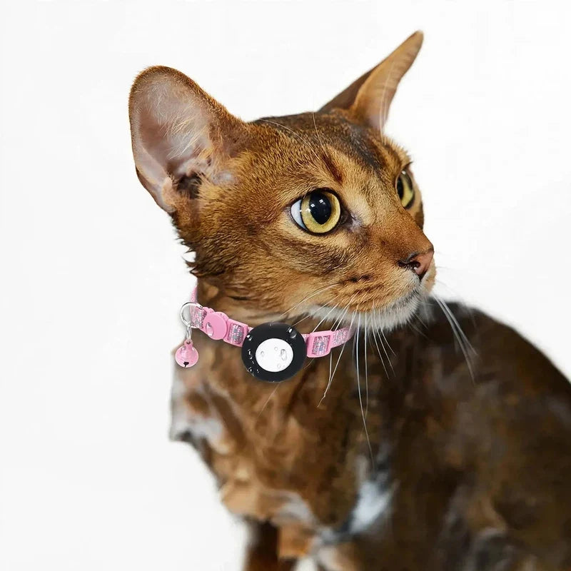 Brown cat wearing a pink collar with a black tracker and a small bell.